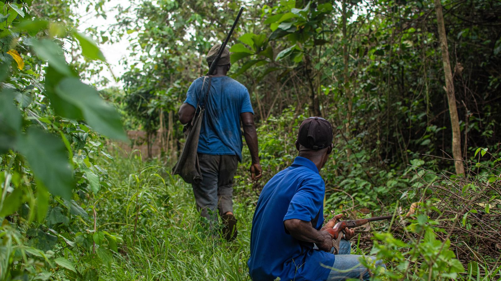 Two men holding a rifle in the jungle, Central African Republic