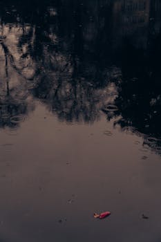 Serene image of tree reflections on a rainy water surface with ripples.
