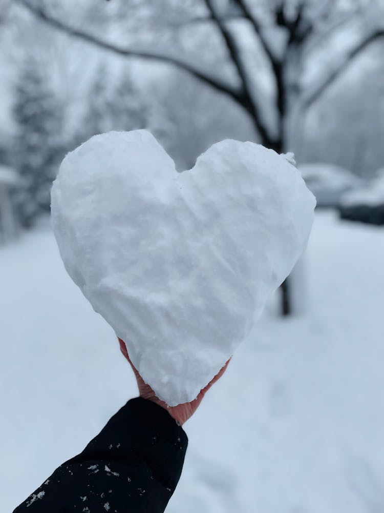 Person Holding A Heart Shape Snow