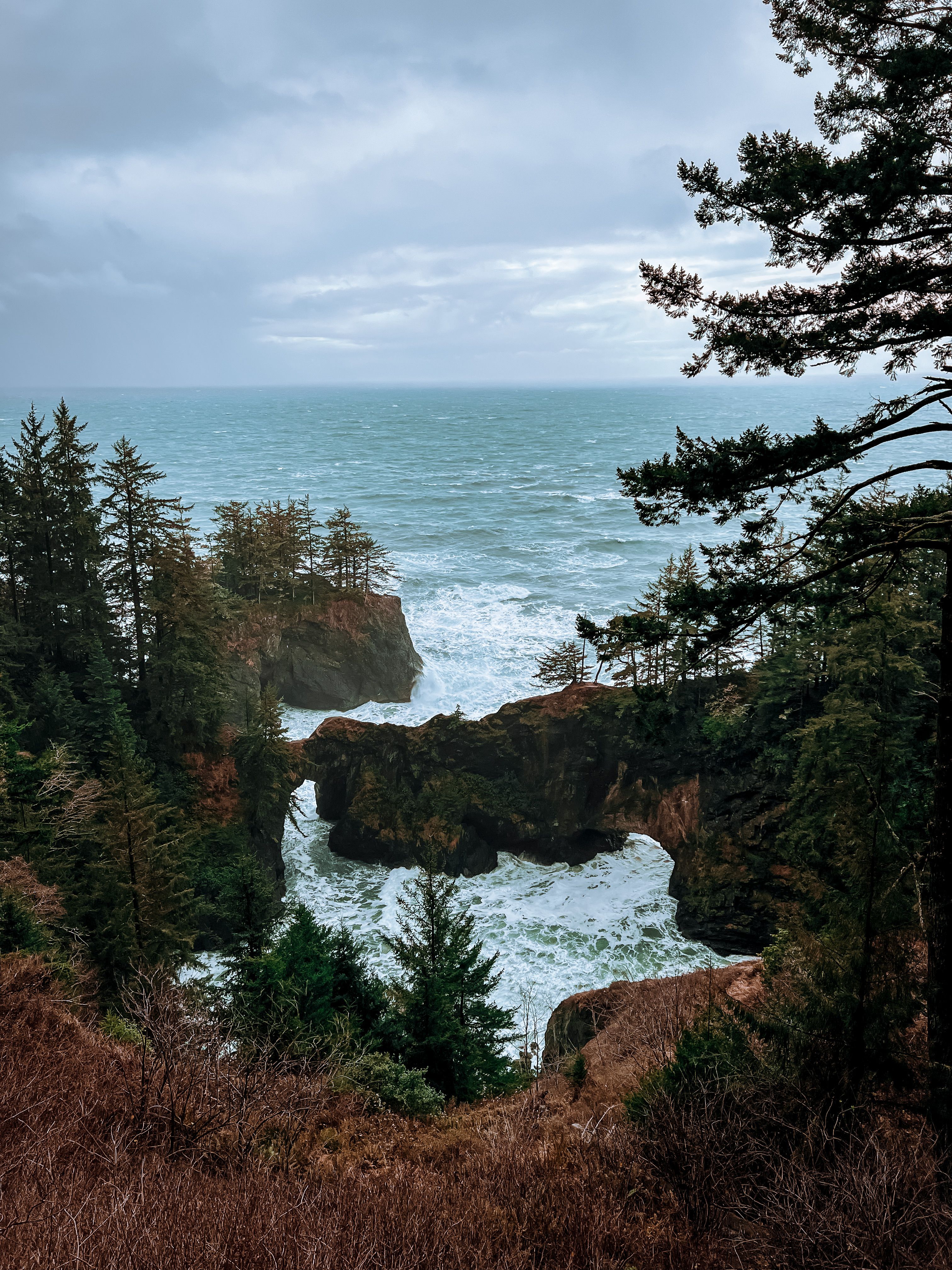 things to do in oregon coast