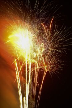 Bright and colorful fireworks captured during a festive night-time celebration.