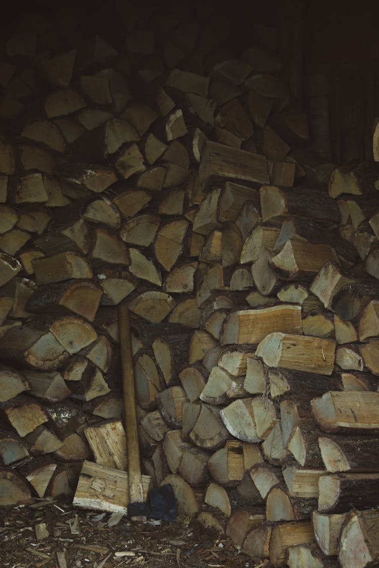 Photo Of Stacked Firewoods