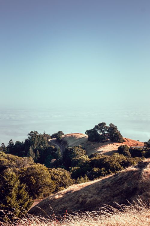 Free Beautiful scenic view of California hills and trees under a clear blue sky. Stock Photo