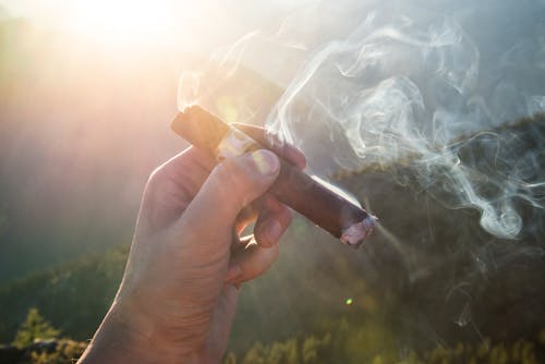 Person Holding Lit Cigar Outdoors