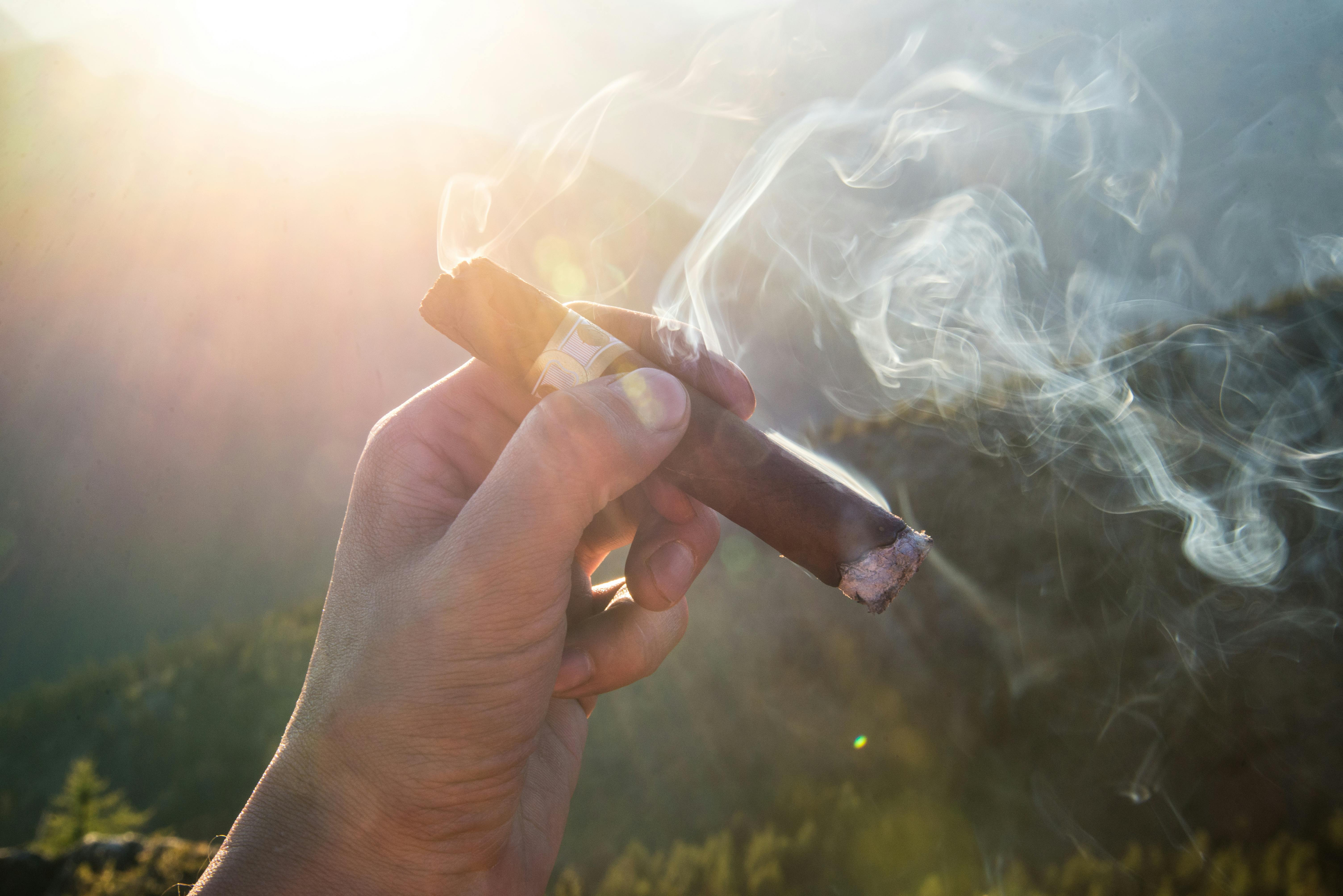 Free stock photo of cigar, cigarette, smoker