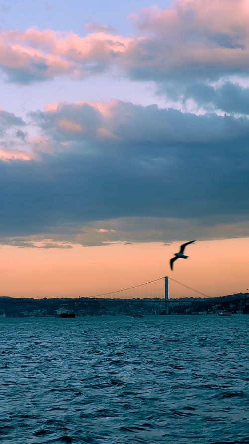 Free A serene evening view of Istanbul's Bosphorus Strait with a bird flying across a sunset-lit sky. Stock Photo