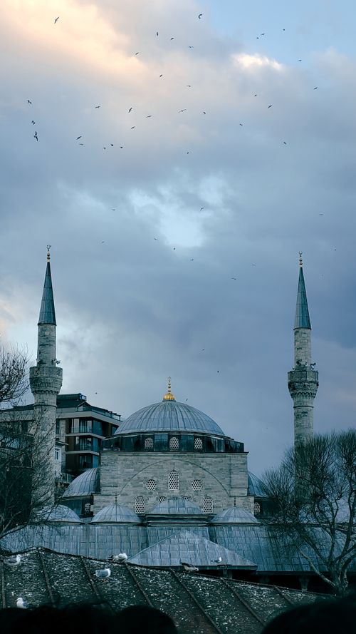 Free Beautiful view of a mosque with minarets in Istanbul under an overcast sky, showcasing Islamic architecture. Stock Photo