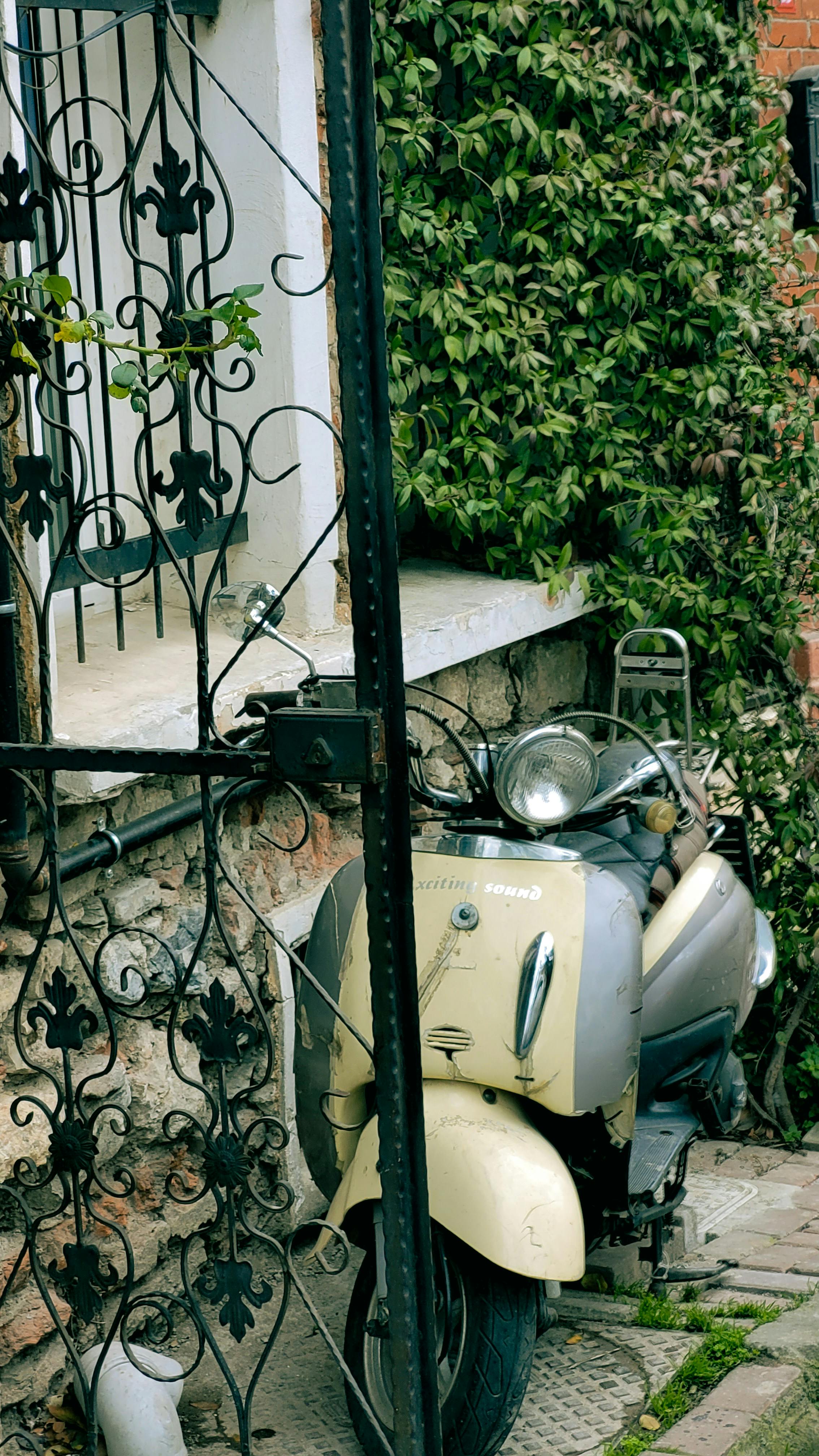 A classic vintage scooter positioned beside an ornate iron gate and lush greenery.