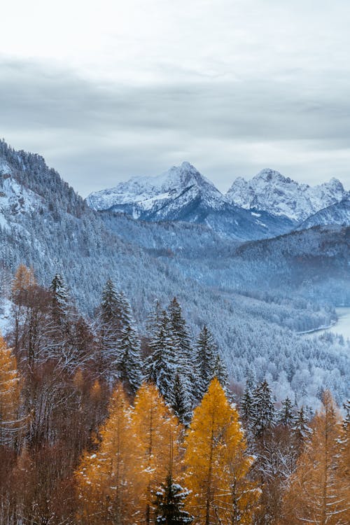 Clouds over Mountains and Autumn Forest