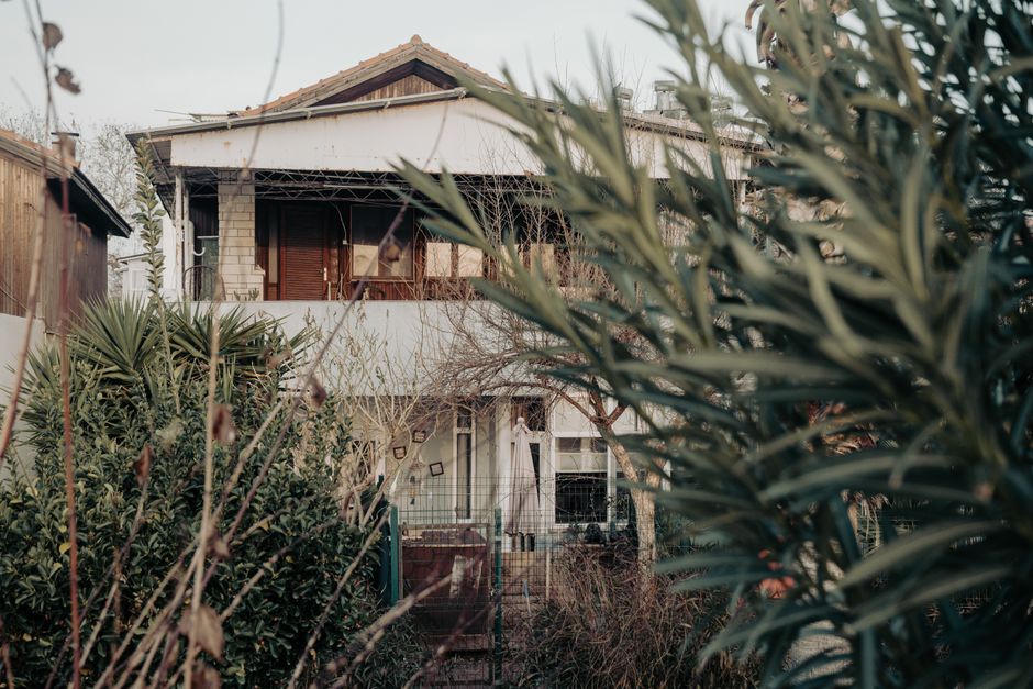 overgrown front yard suburban house