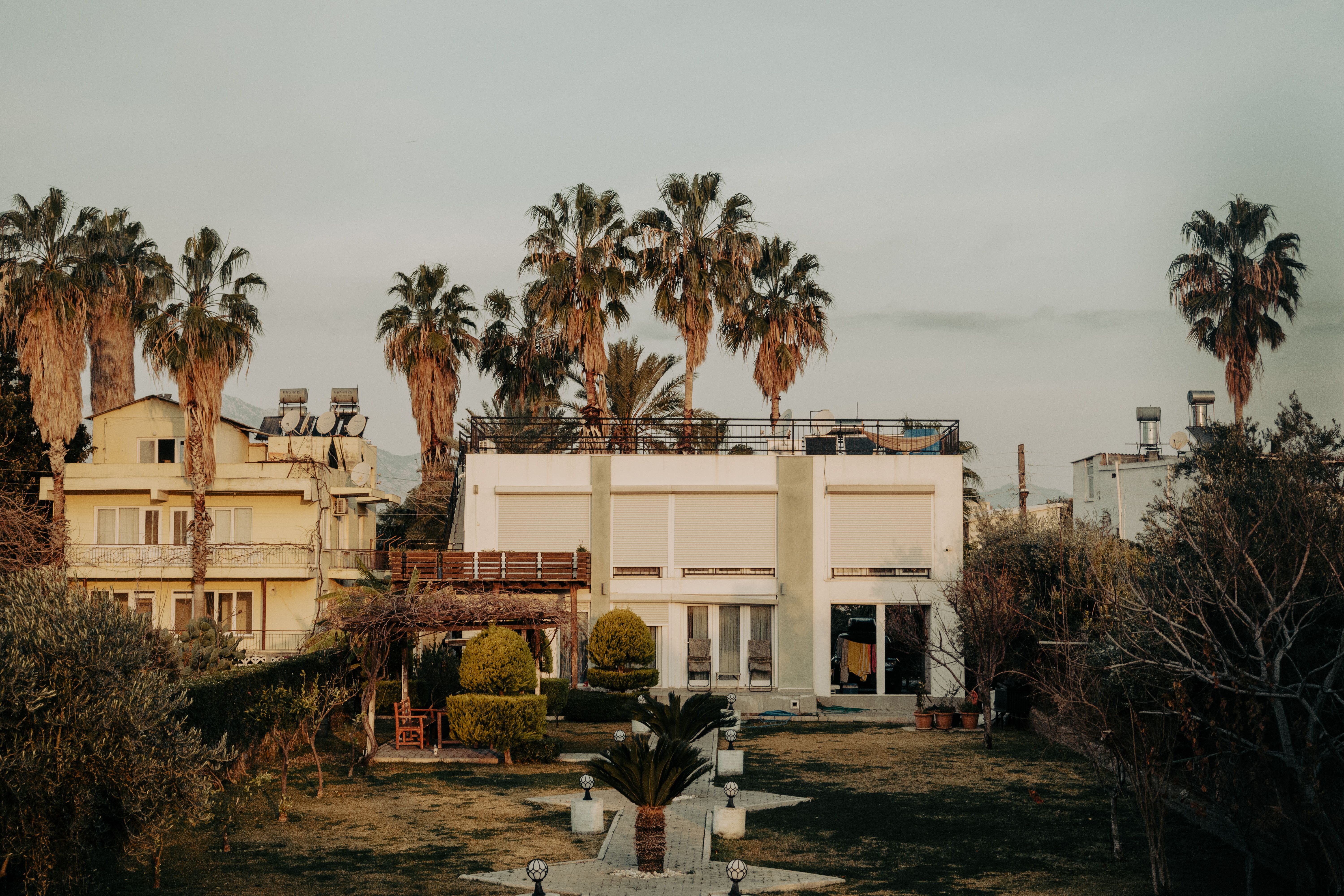 Constantine — professional movers carrying furniture on a house move