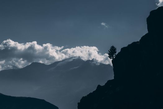 Free stock photo of alpe, alpine, alpine pasture