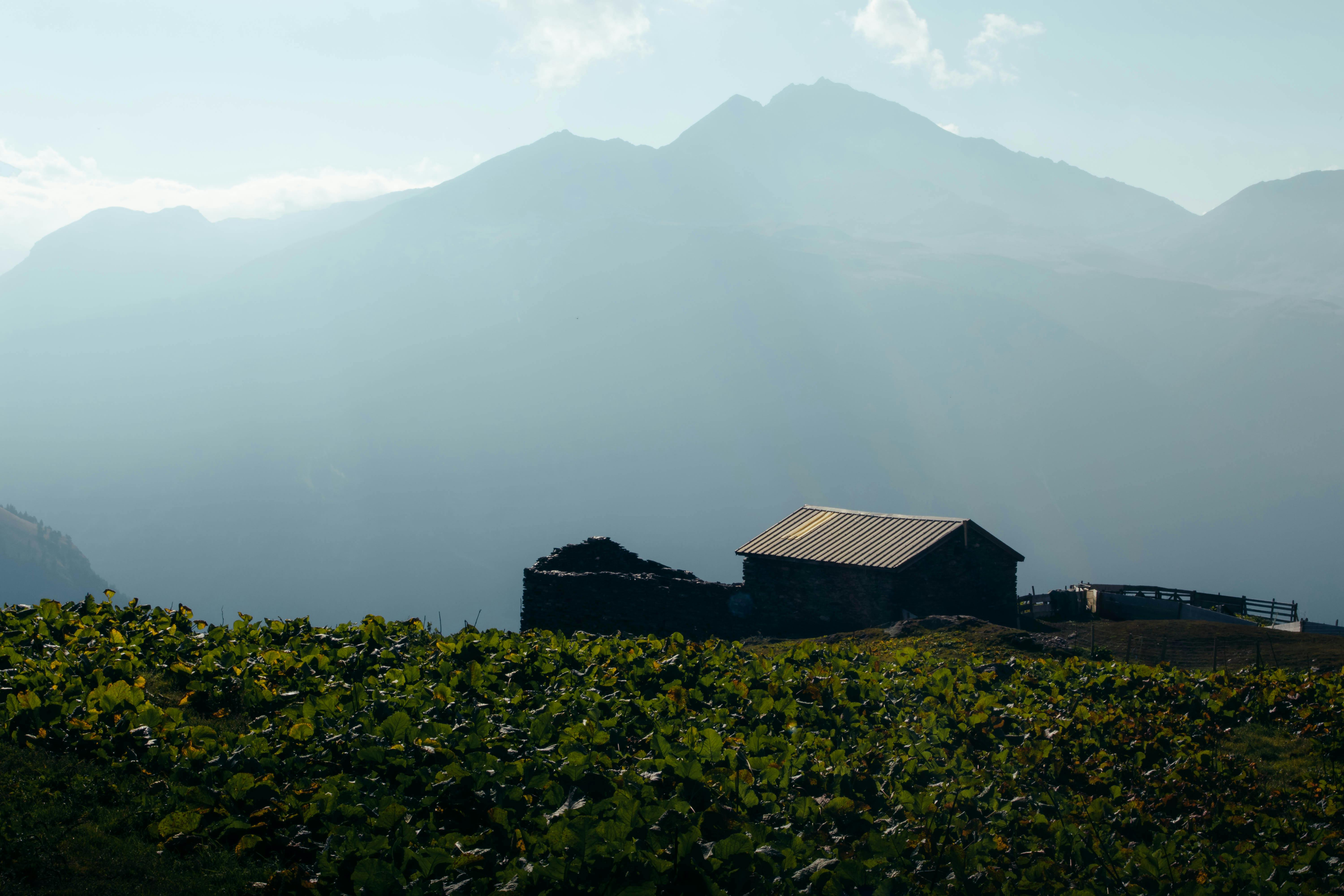 a barn sits on a hillside with mountains in the background