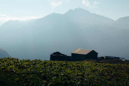 Idyllic mountain cabin amidst lush greenery with a stunning mountain backdrop. by Lorenzo Castellino