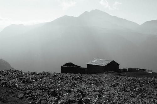 Foto profissional grátis de agricultura, área, cadeia de montanhas
