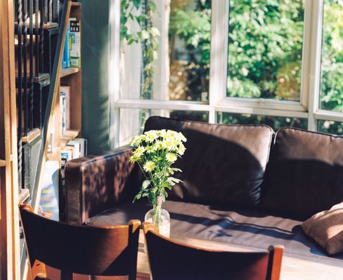 Free Sunlit living room featuring a brown sofa, bookshelf, and daisies in a vase by the window. Stock Photo
