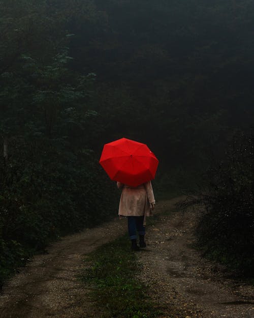 A Person with an Umbrella 
