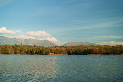 View of a Lake 