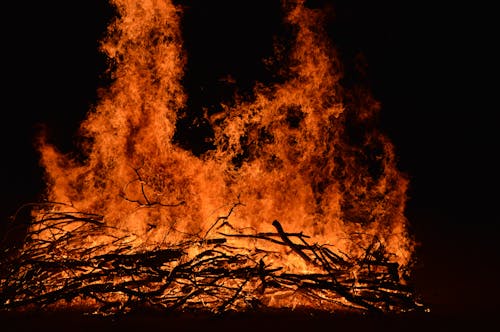 Fotos de stock gratuitas de ardiente, calor, de cerca