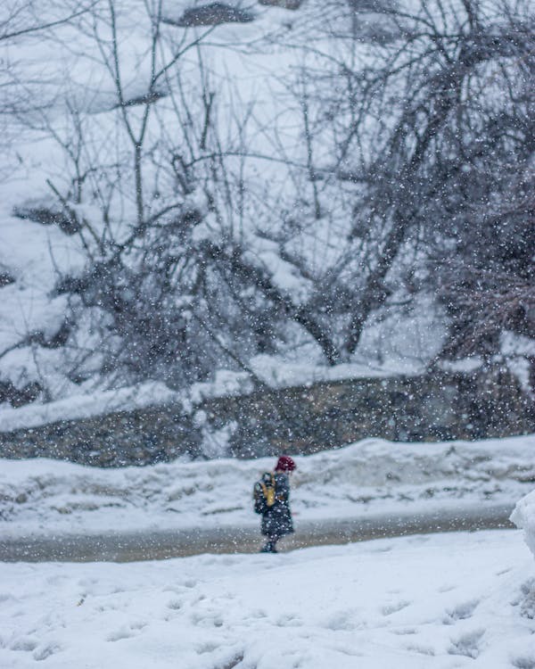 Person walking on a Roaside during Snow 