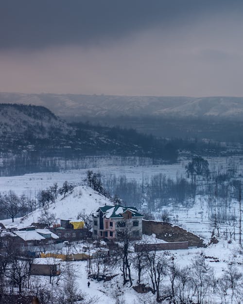 çıplak ağaçlar, dağ, dikey atış içeren Ücretsiz stok fotoğraf