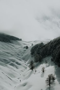 A breathtaking aerial view of a snow-covered valley surrounded by frosty trees.