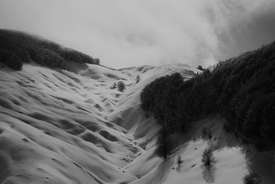 Serene snow-covered hillside in black and white, capturing the essence of a Greek winter.