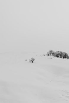 Minimalist snow-covered hilltops and trees in Greece make a serene winter scene.