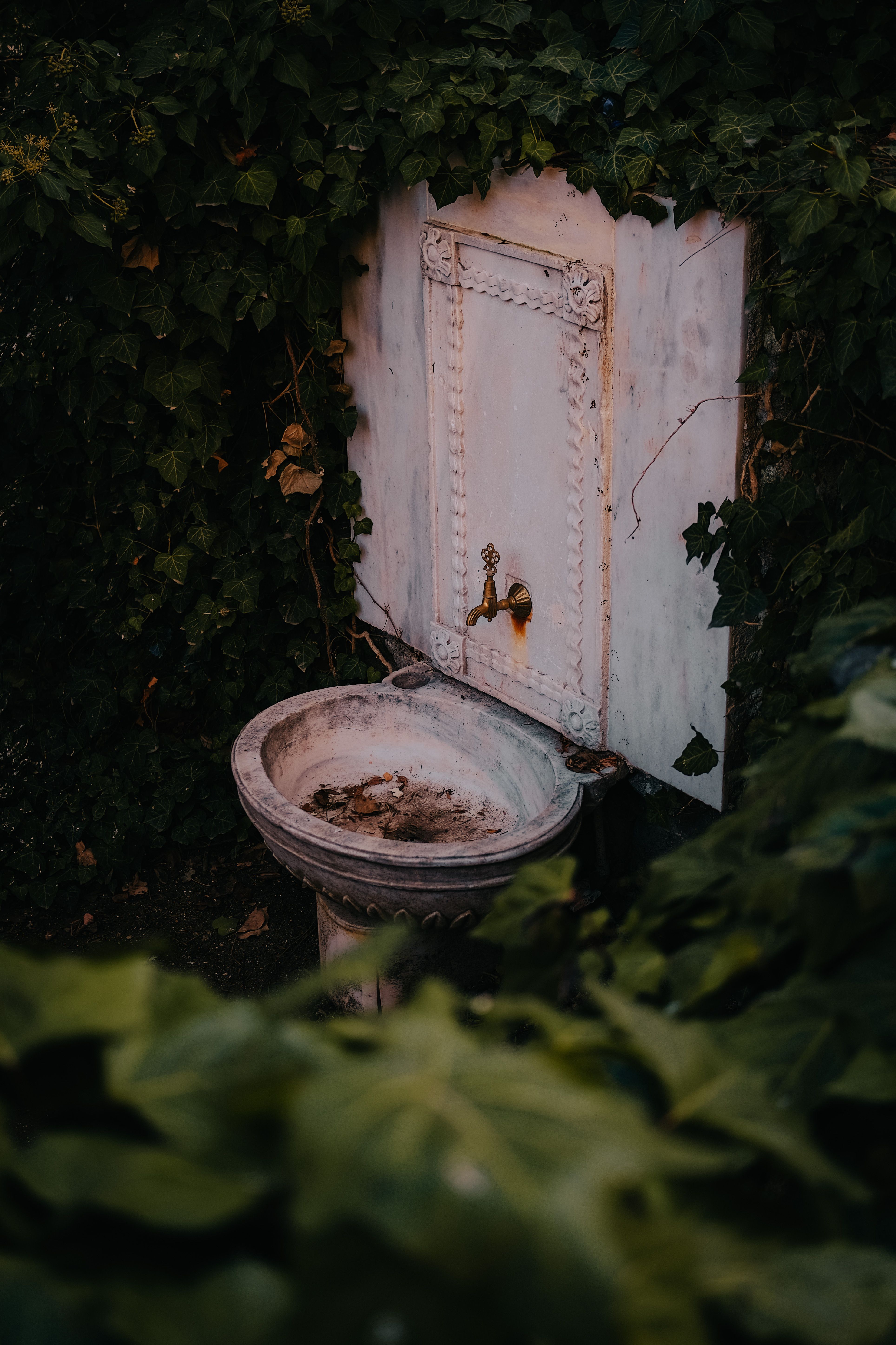 Japanese Sink Photos, Download The BEST Free Japanese Sink Stock Photos ...