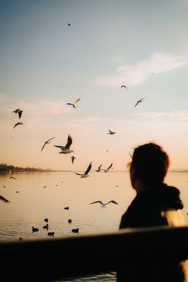 Birds Flying Above A Lake