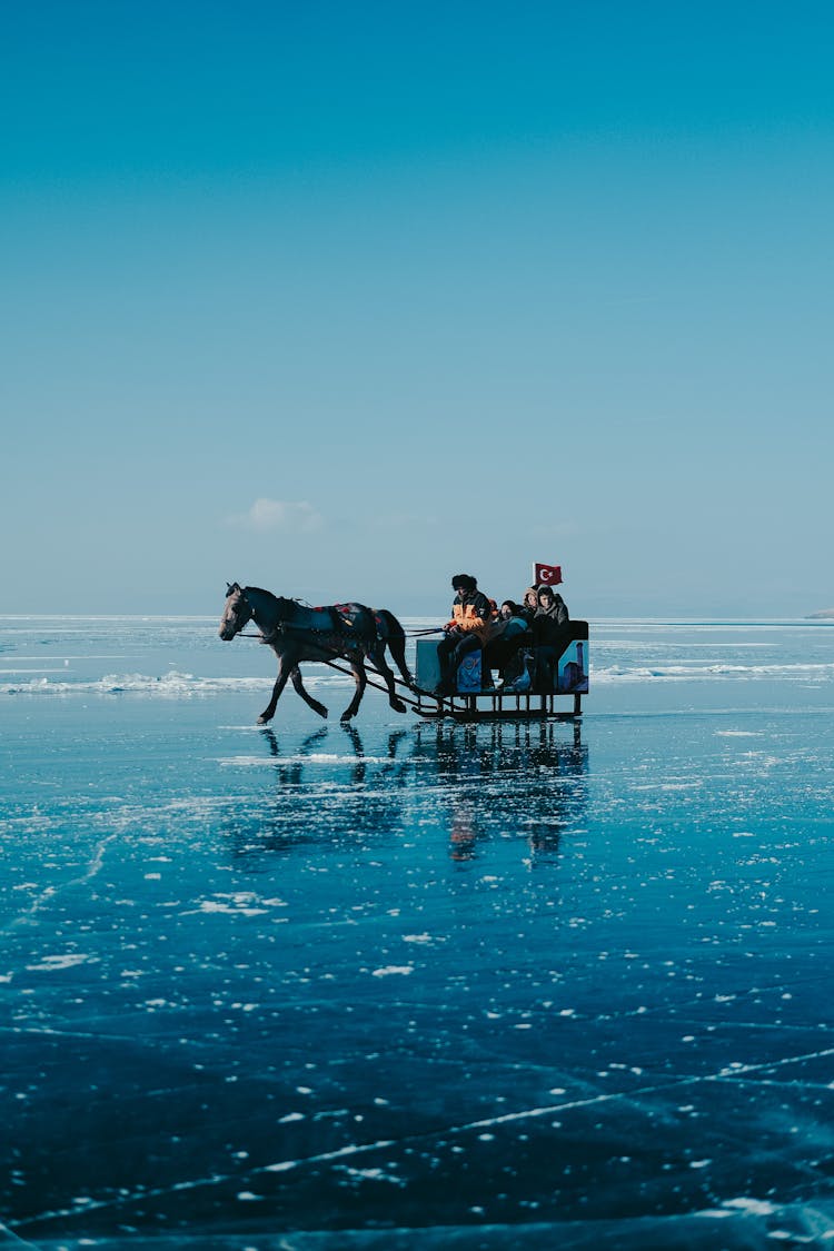 A Horse Pulling A Sled On Ice