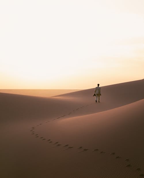 Základová fotografie zdarma na téma chůze, duny, jasný