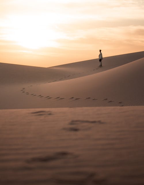 Foto d'estoc gratuïta de aventura, capvespre, desert