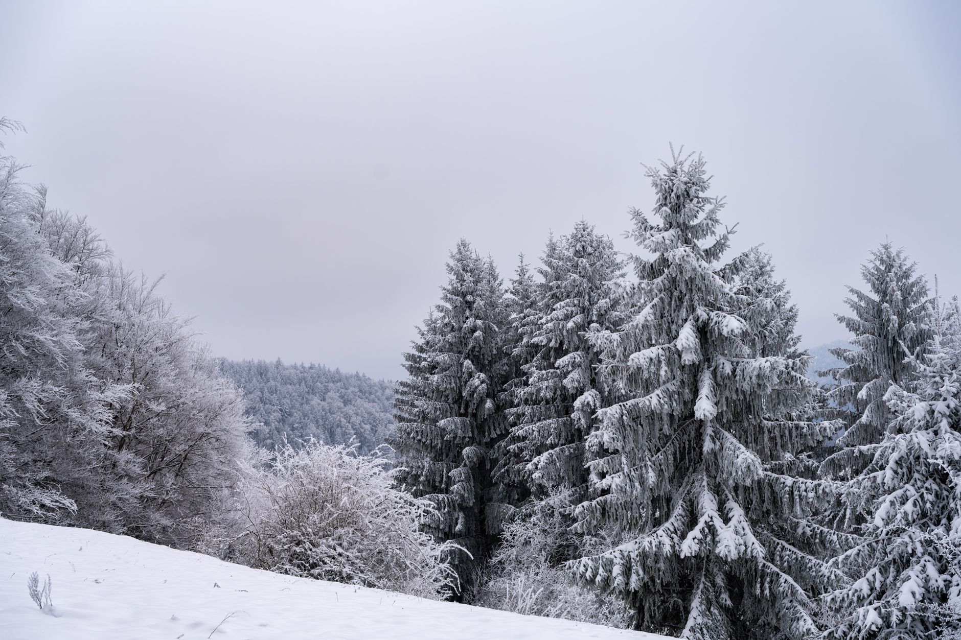 Vreme rece și nori pe cer în Vrancea, România Vreme rece și nori pe cer în Vrancea, România