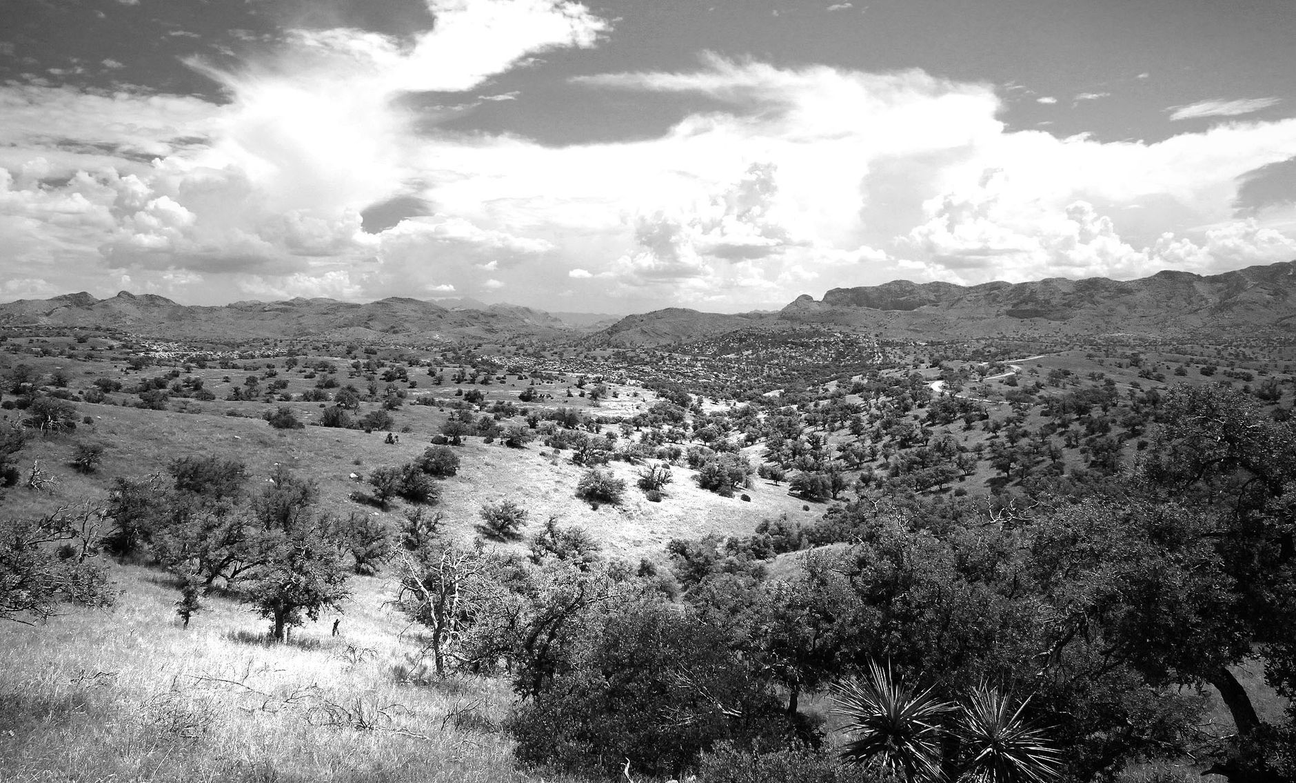 A breathtaking black and white view of rolling hills and distant mountains under a cloudy sky.
