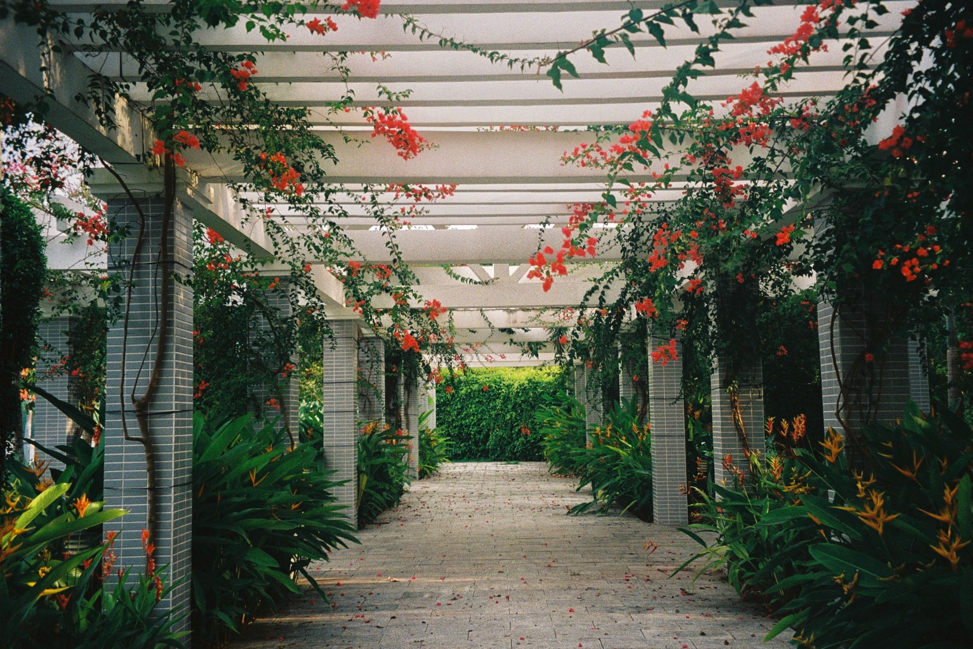 Pergola bioklimatyczna