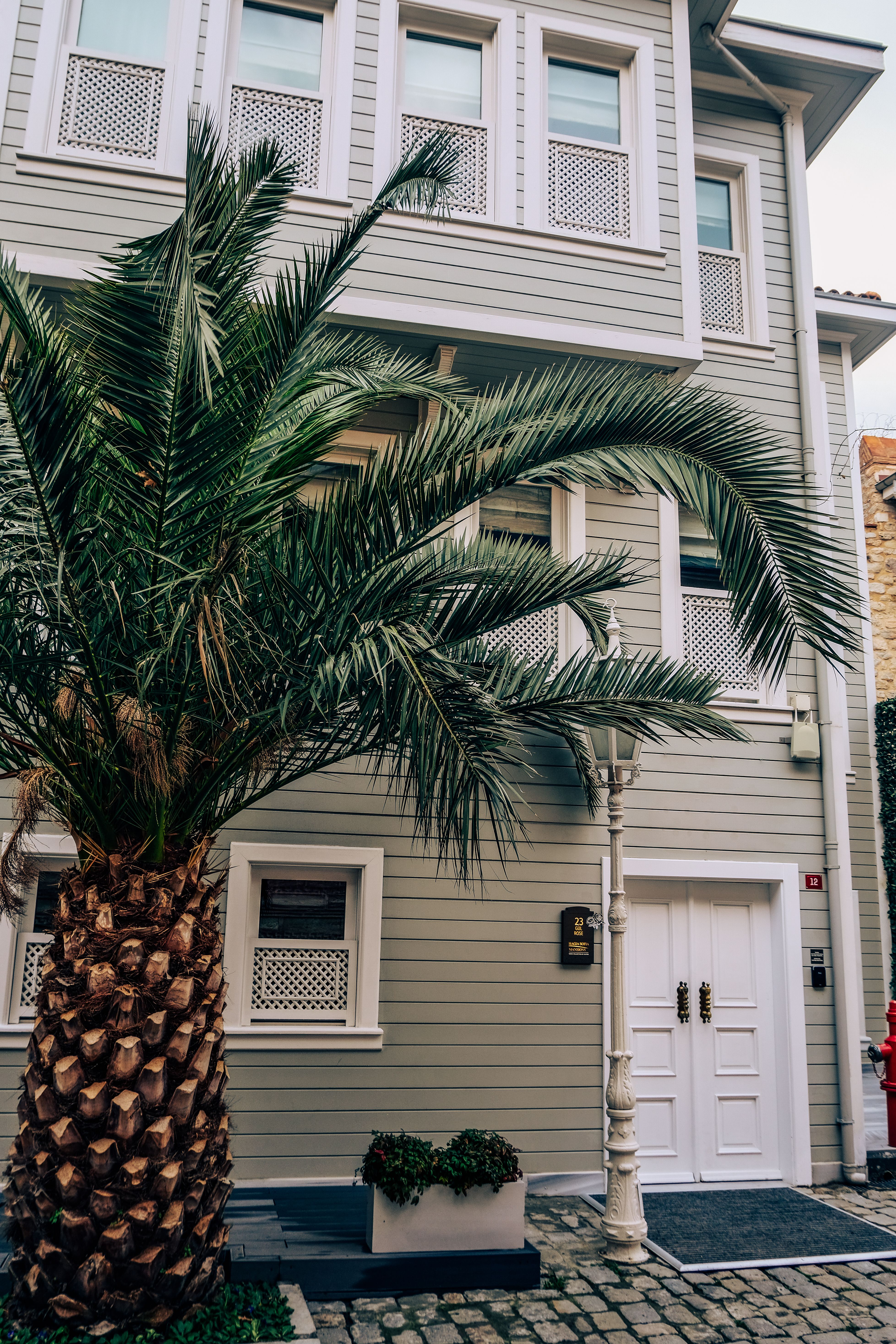 Curated visual reference: Gallery Detail: A Palm Tree Standing In Front Of A Residential Building