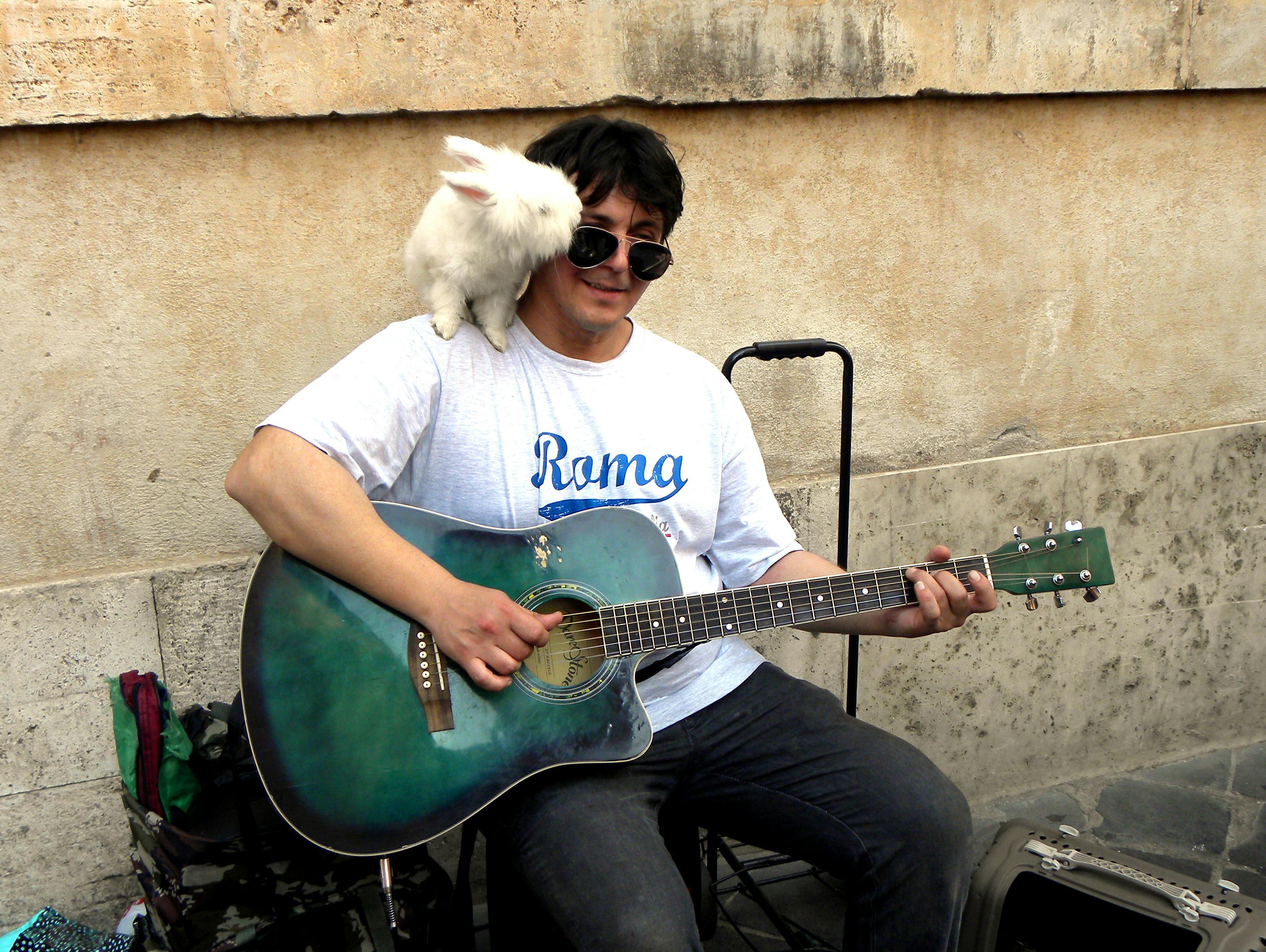 Free stock photo of rome, street musician, street musician with rabbit