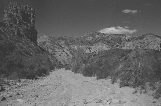 A striking black and white photo of a rugged desert canyon landscape with rocky formations and sparse vegetation.