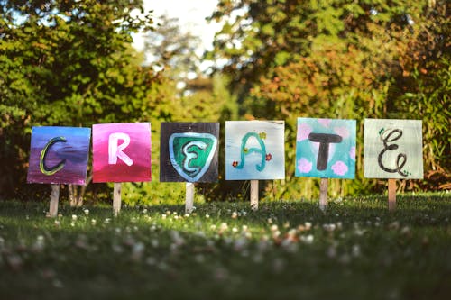 Gratis arkivbilde med åker, årstid, blomster