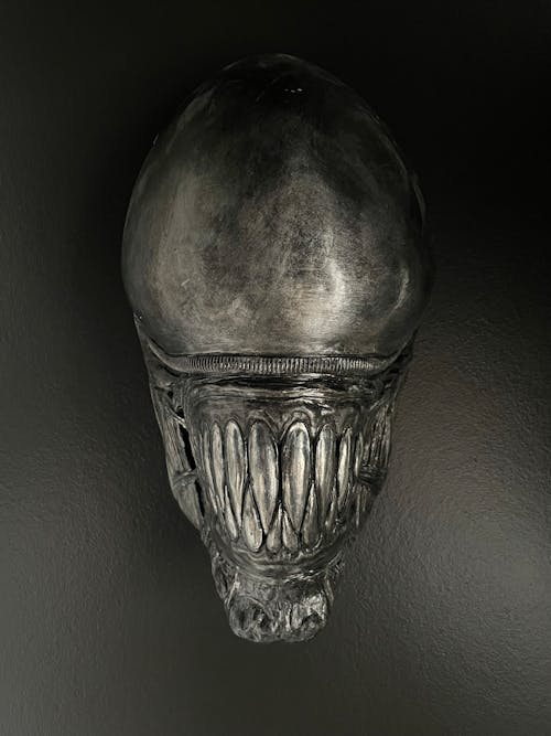 Skull with Teeth