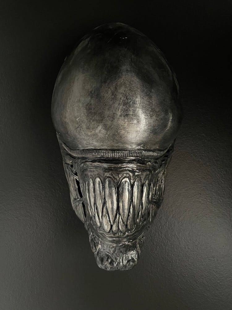 Skull With Teeth