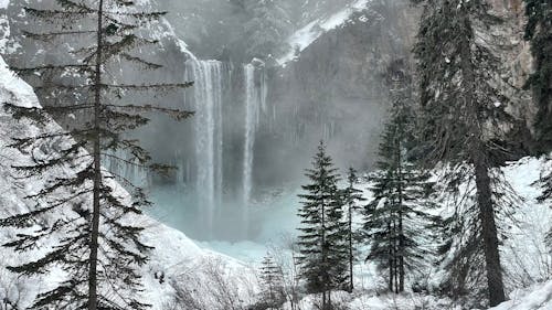 Kostenloses Stock Foto zu bäume, erodiert, felsen