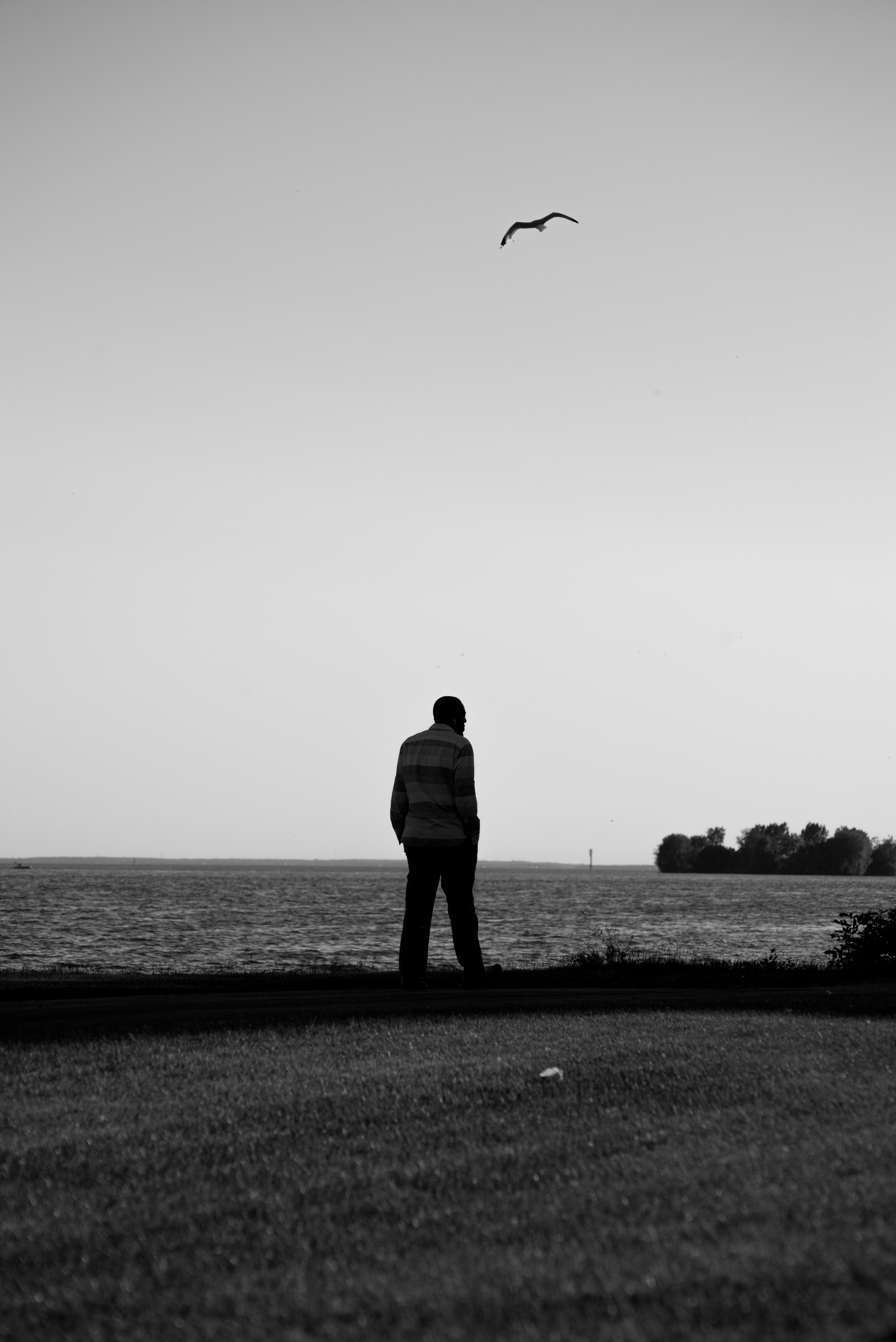 Silhouette of a Man Standing near the Sea · Free Stock Photo