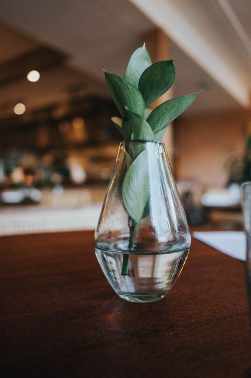 Free Close-up of a minimalist glass vase with green leaves on a wooden table. Stock Photo