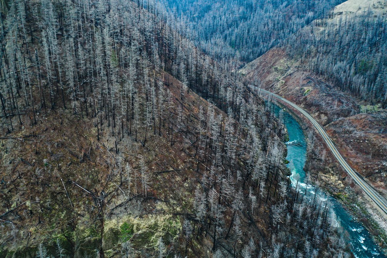 Extreme Weather and Drought Impact Europe's Infrastructure and Economy