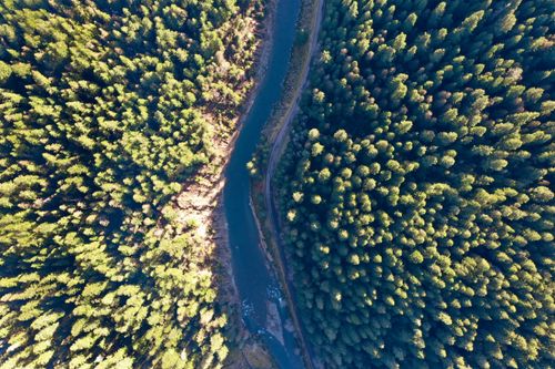Free Stunning aerial view of dense green forest and a winding river, perfect for nature-themed projects. Stock Photo