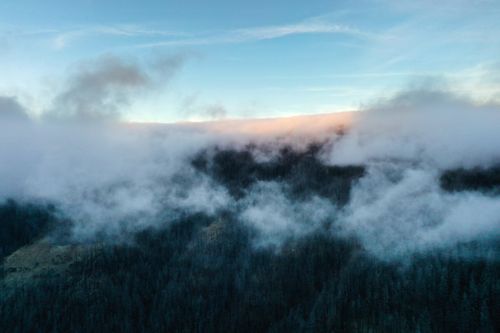 Free A serene view of misty mountains and forests at dawn, with clouds enveloping the landscape. Stock Photo