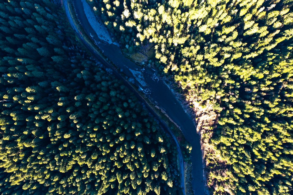 Top View of River · Free Stock Photo