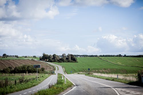 Empty Road in Between Fields